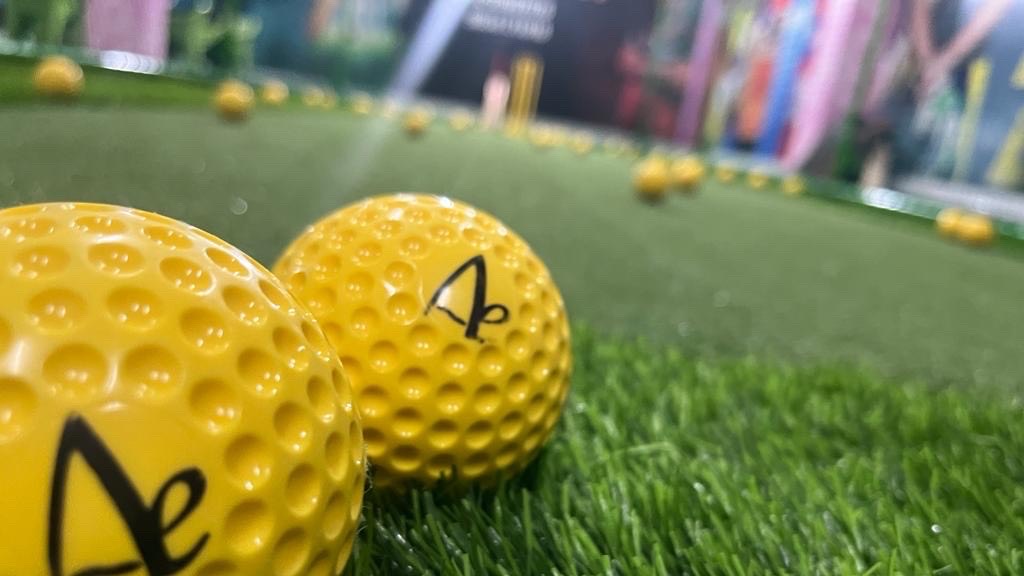 Bhagat Singh Indoor Cricket Nets & Bowling machine