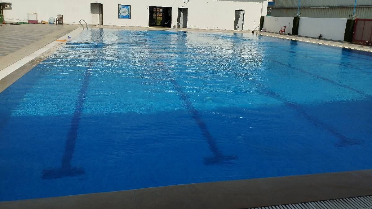 Backyard Sports Club